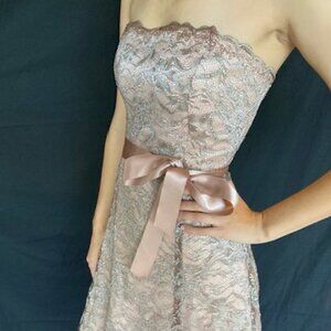 BCBG Maxazria:  Metalic Lace - Sweatheart bust - with Silk underlay - Size 10